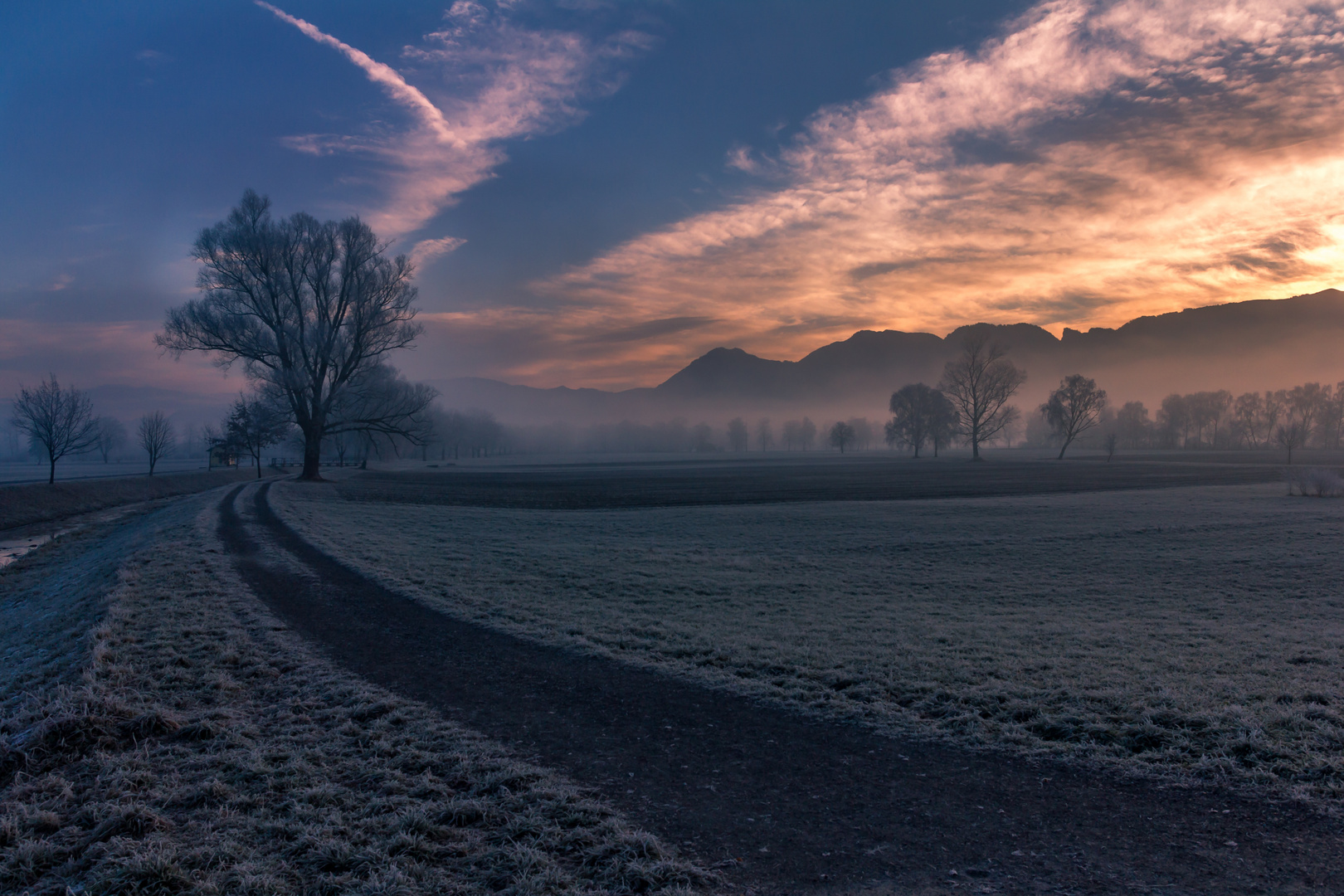 morgens im Nebel