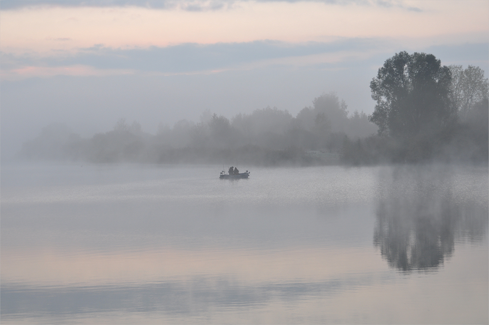 morgens im NEBEL