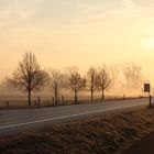 Morgens im Nebel