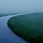 morgens im Nebel auf dem Oderdeich
