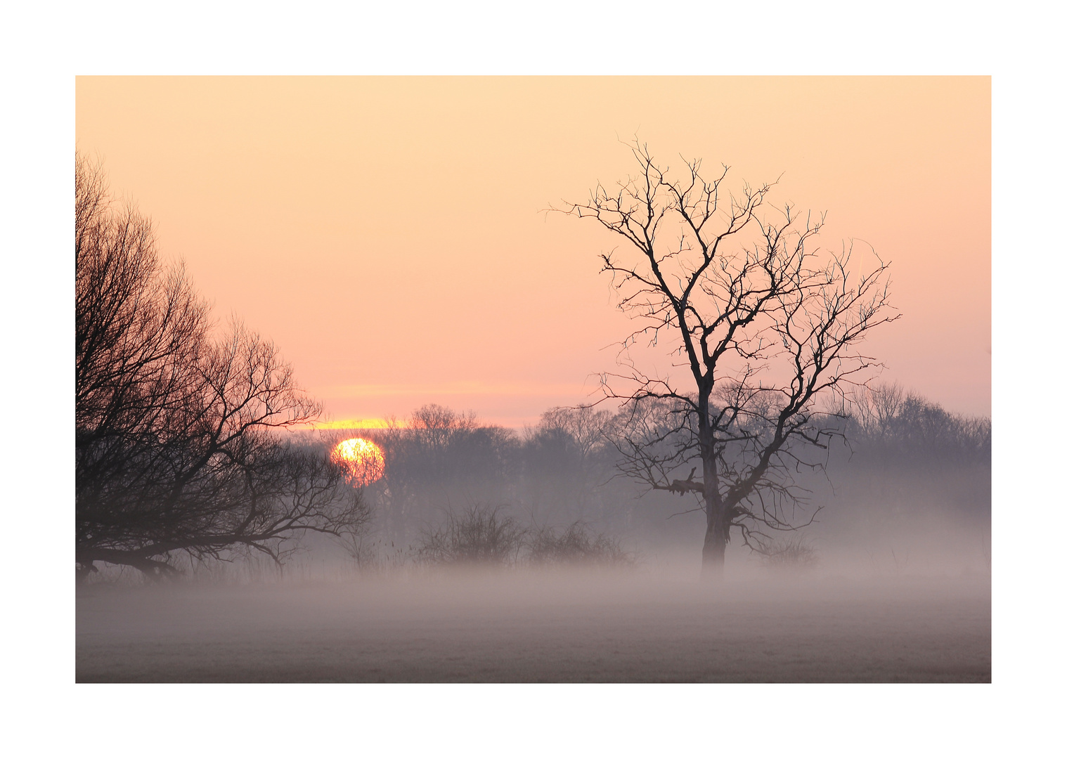 Morgens im Nebelland