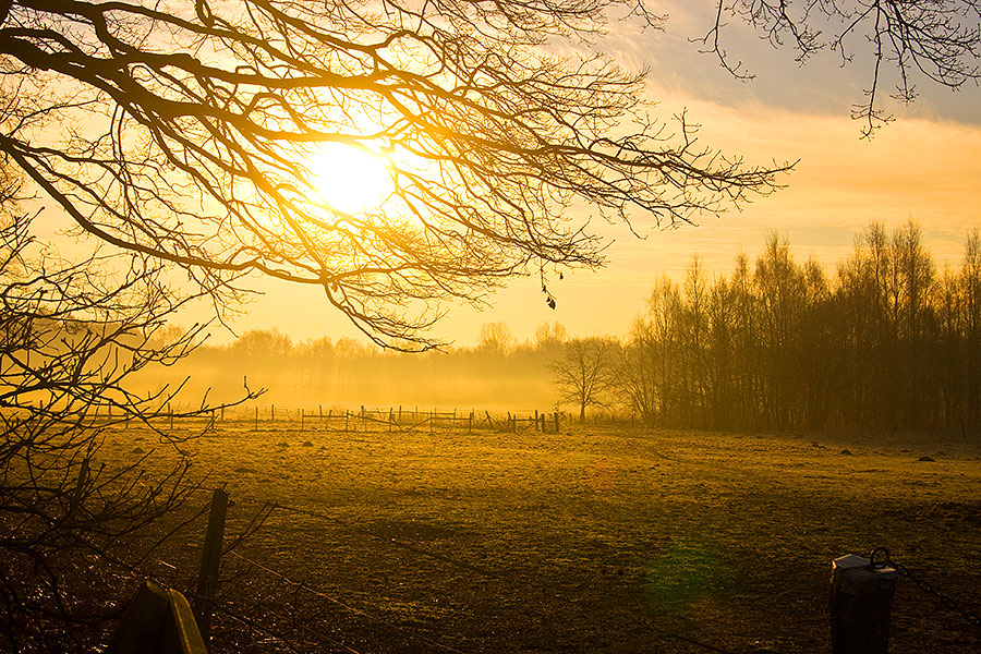 Morgens im Norderstedter Stadtpark