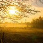 Morgens im Norderstedter Stadtpark