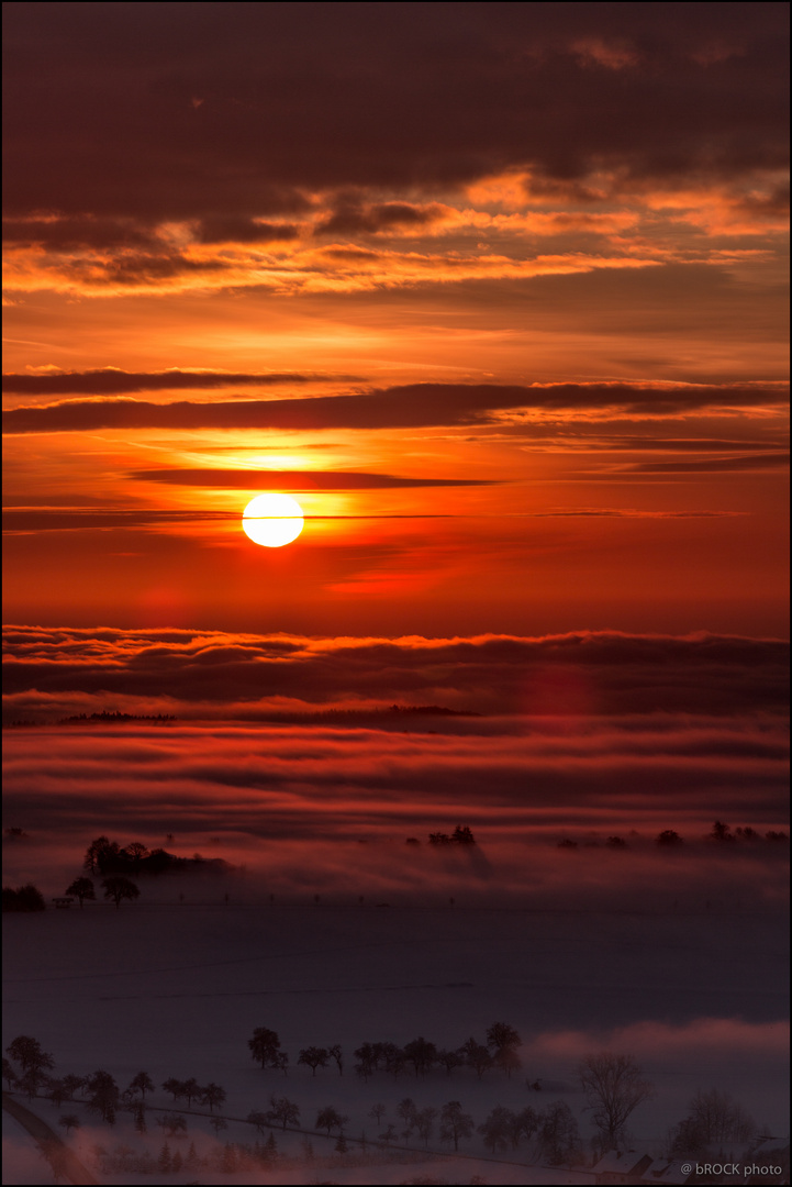 Morgens im Odenwald