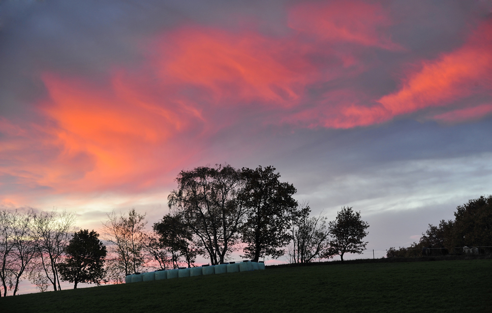 Morgens im Odenwald