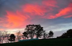 Morgens im Odenwald