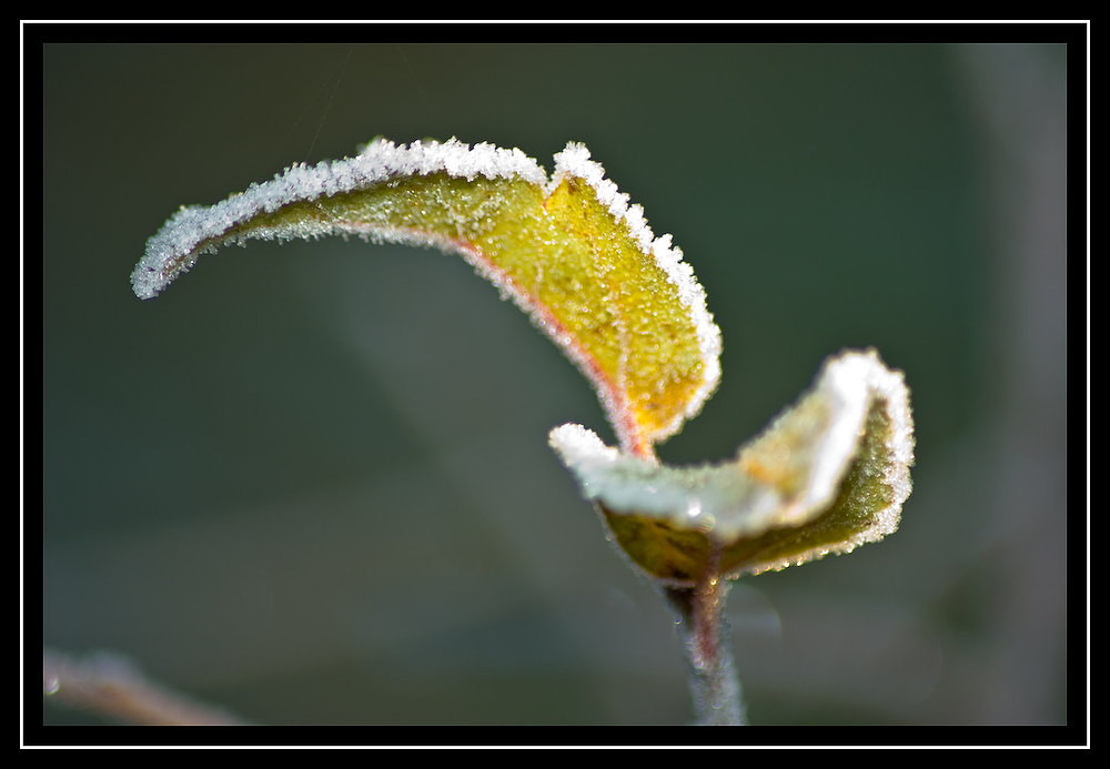 morgens im Oktober