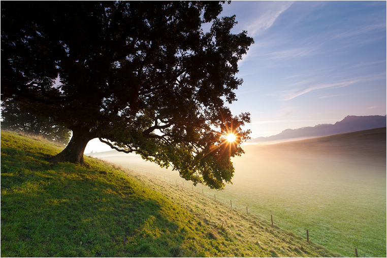 morgens im ostallgäu