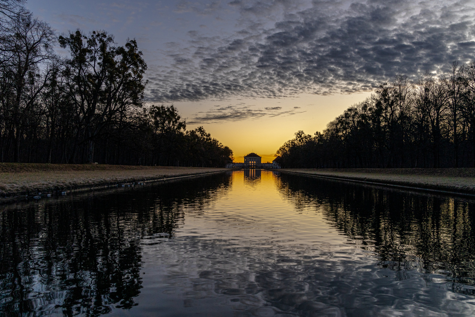 Morgens im Park (10.01.2020, 07:46 Uhr)