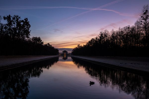 Morgens im Park (13.01.2020, 07:29 Uhr)