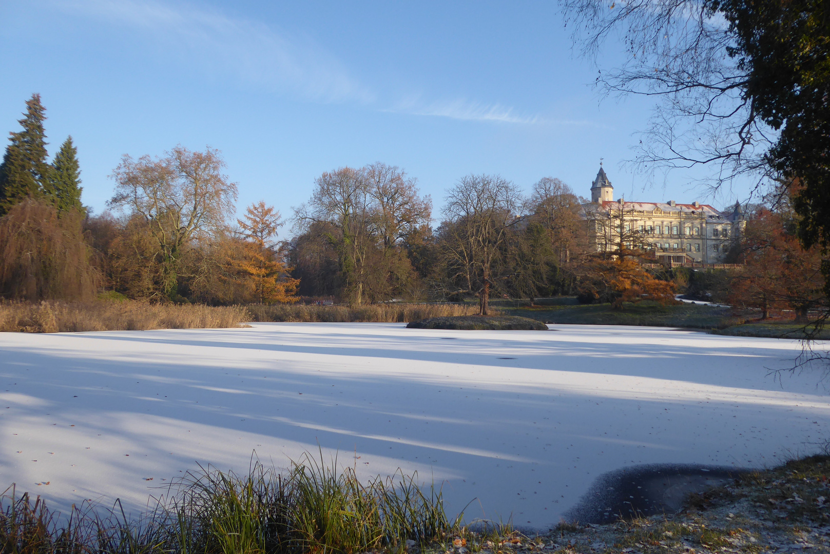 Morgens im Park