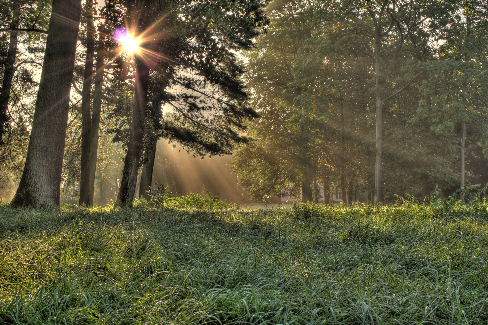 Morgens im Park