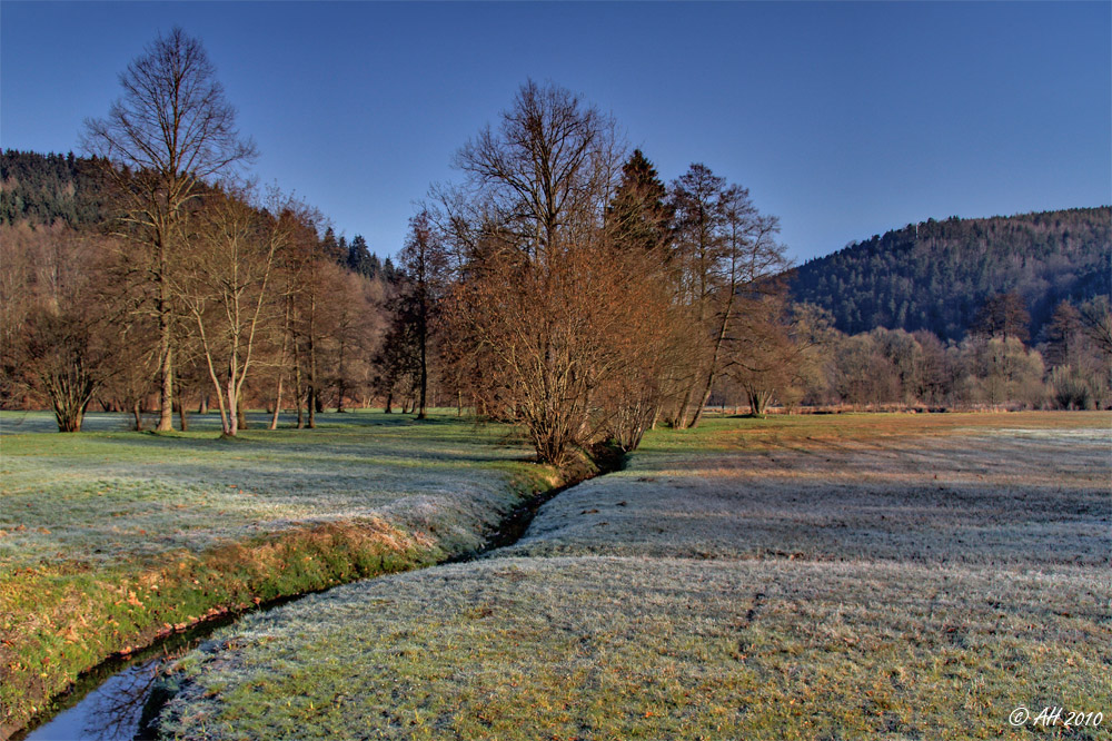 Morgens im Park