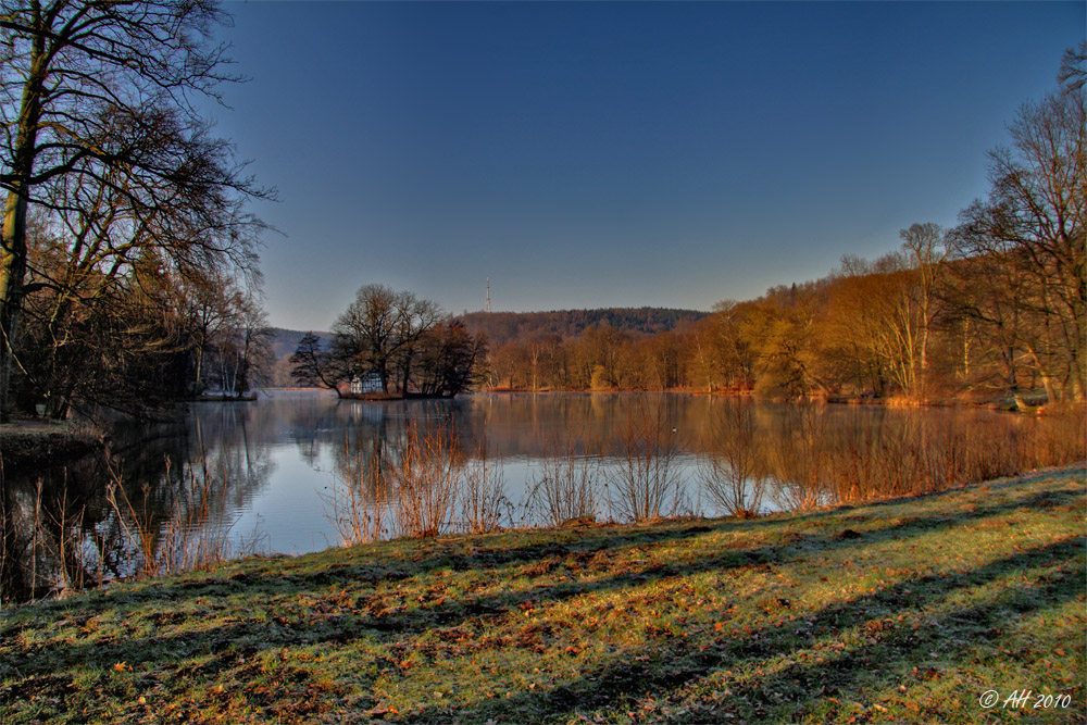 Morgens im Park 4