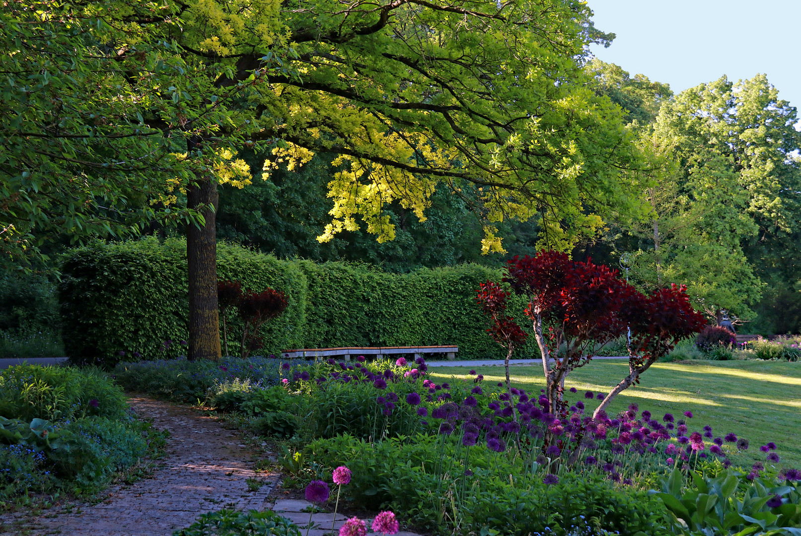 Morgens im Park