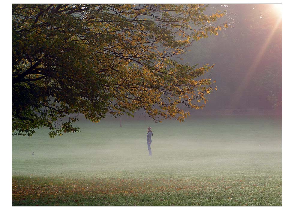 morgens im park