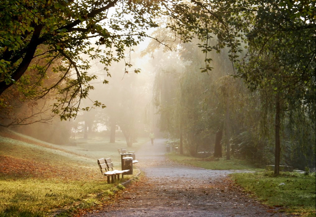 Morgens im Park