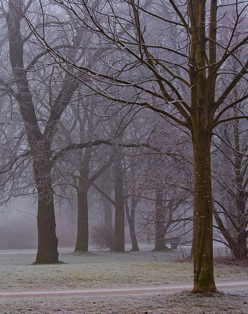 morgens im Park