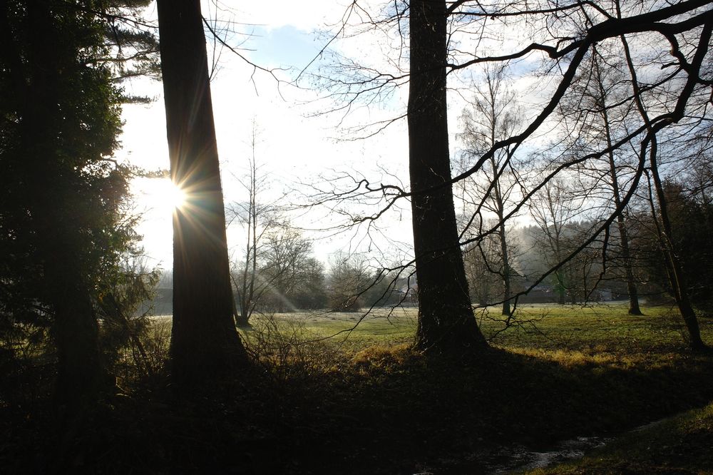 morgens im Park