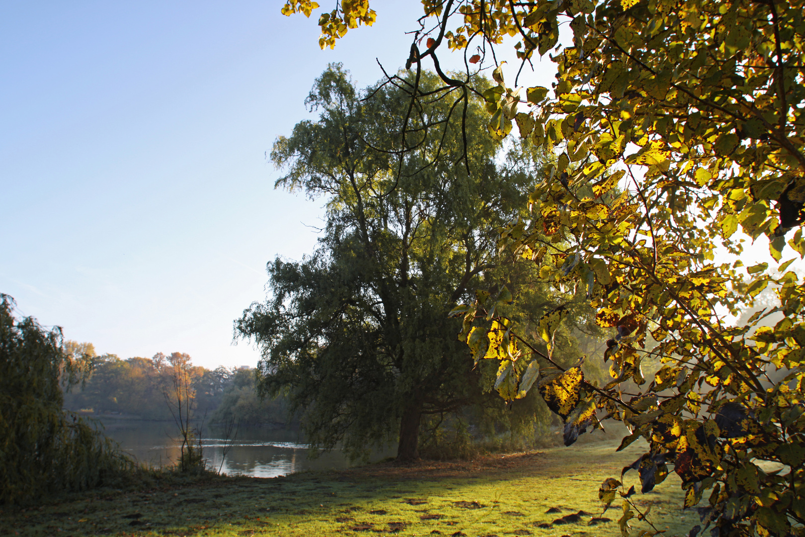 Morgens im Park