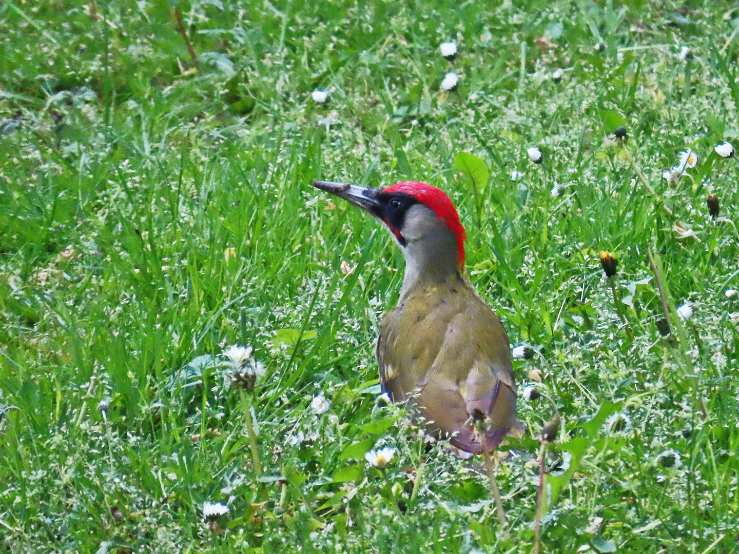 Morgens im Park - Zeit für Frühstück