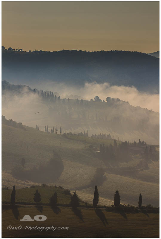 Morgens im Pienza Tal