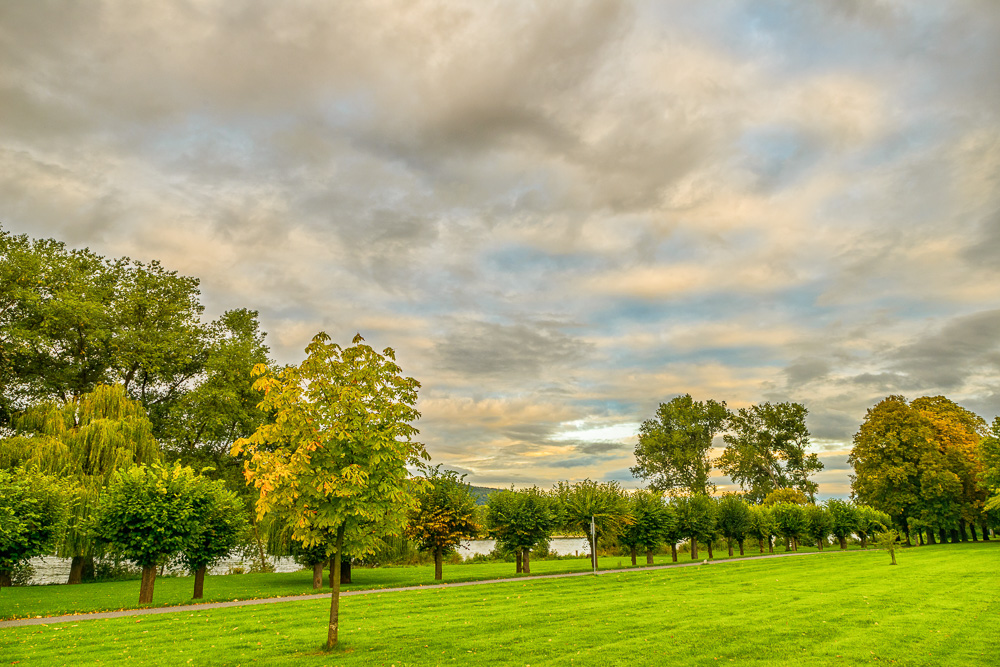 Morgens im Rheinpark