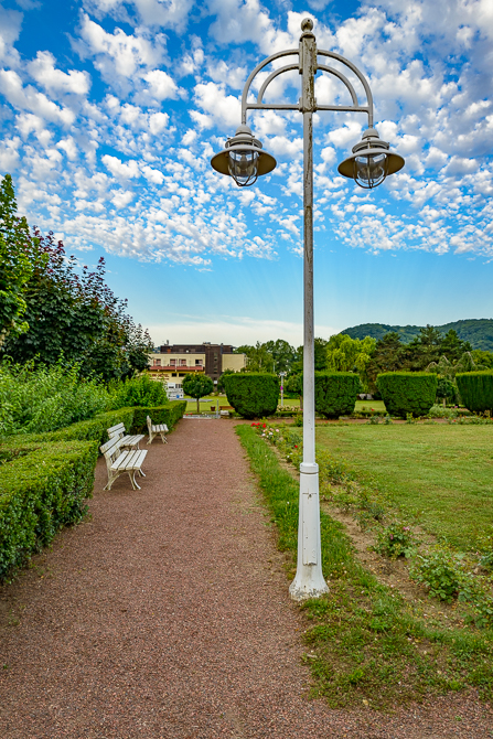 Morgens im Rosengarten von Bad Hönningen