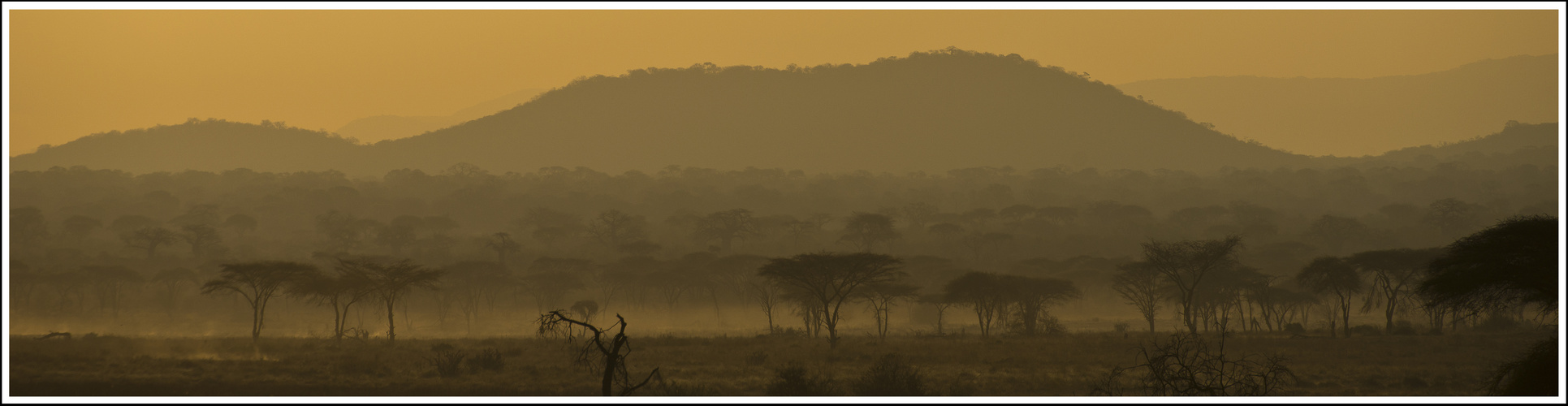 Morgens im Ruaha-Nationalpark