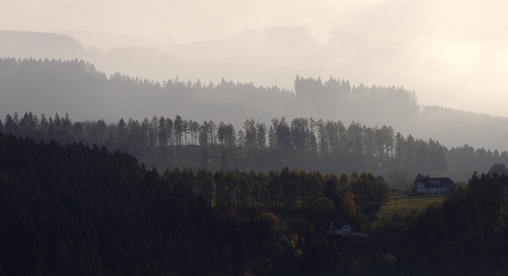 morgens im Sauerland