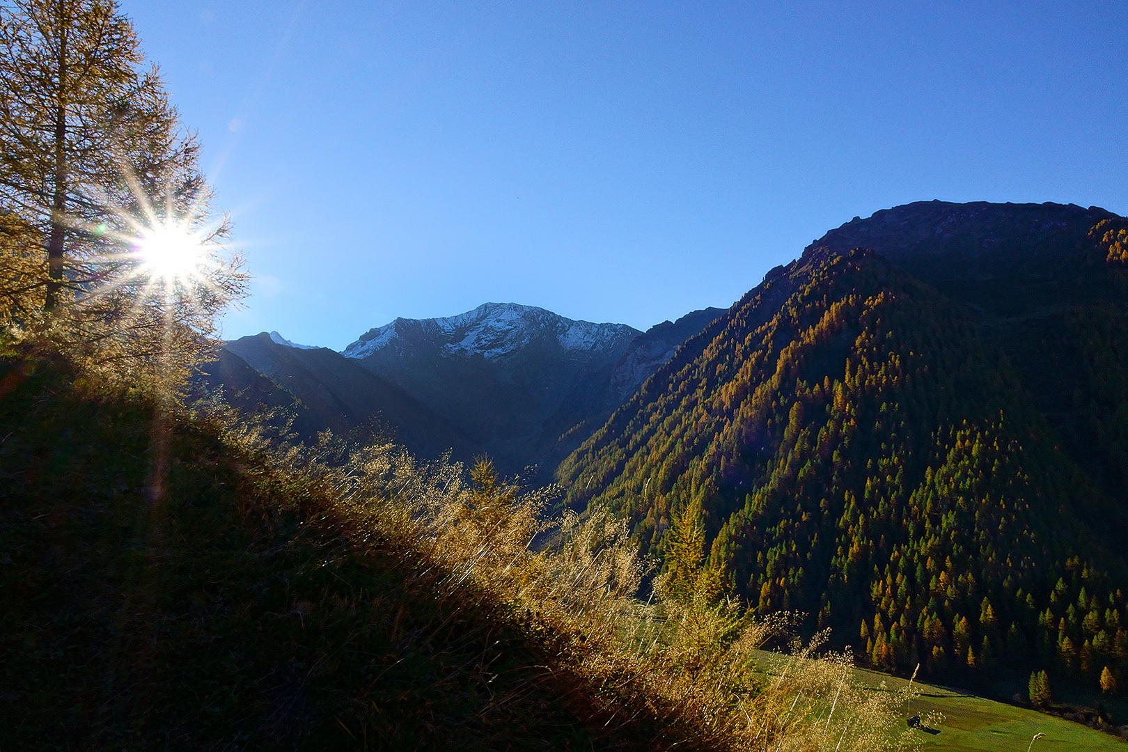 Morgens im Schmirntal