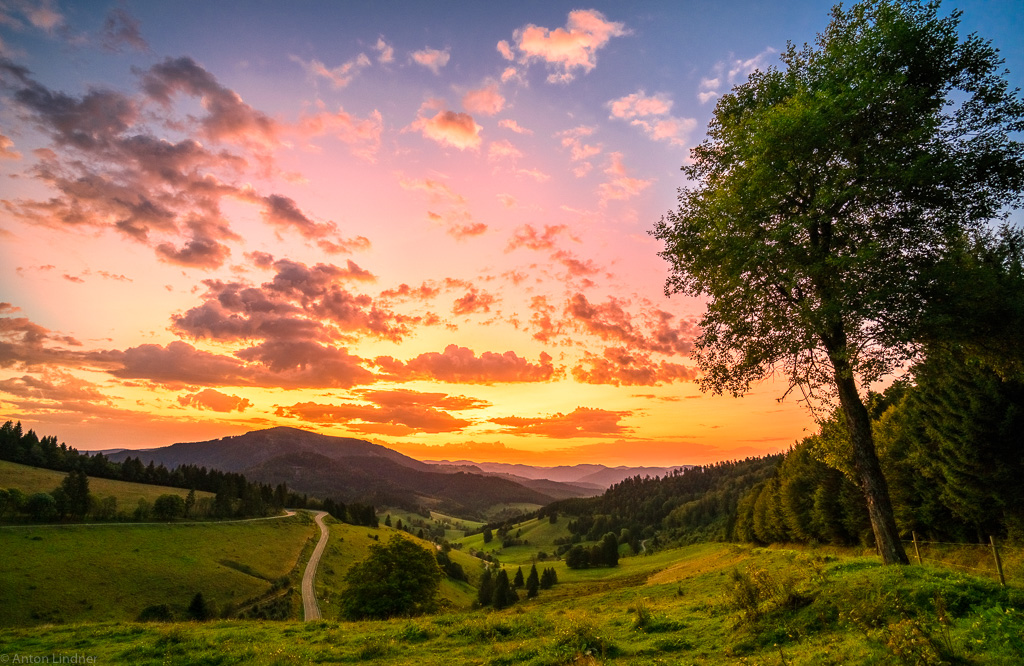 morgens im Schwarzwald