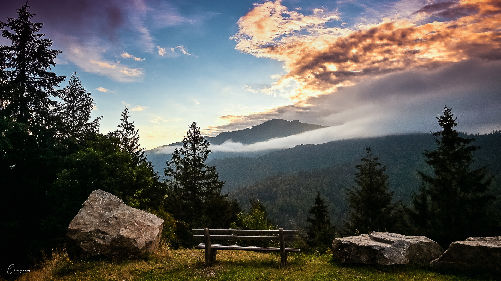 Morgens im Schwarzwald