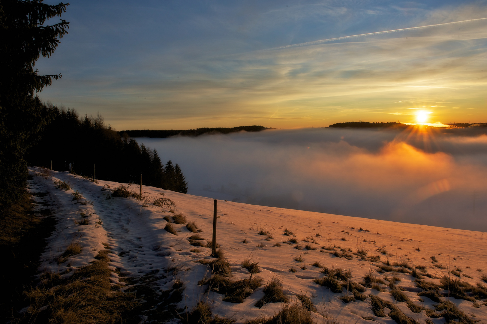 Morgens im Schwarzwald