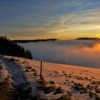 Morgens im Schwarzwald