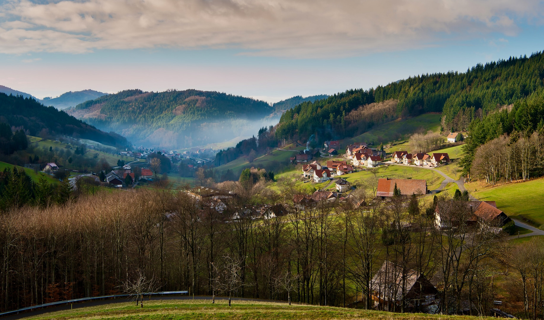 Morgens im Schwarzwald.