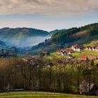 Morgens im Schwarzwald.