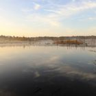 Morgens im Schwenninger Moos