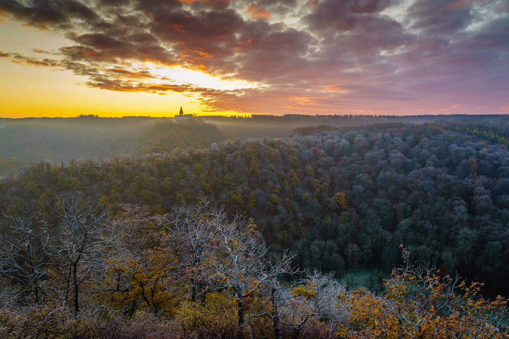 Morgens im Selketal (1)