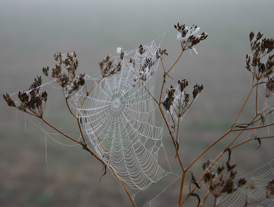 Morgens im September .........