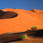 Morgens im Sossusvlei