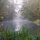 Morgens im Spreewald