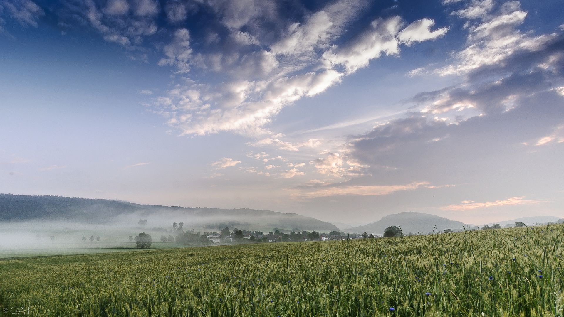 Morgens im Tal