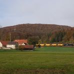 Morgens im Tal der Blau