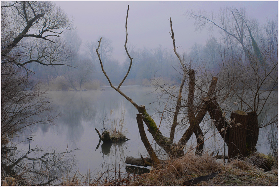 Morgens im Taubergiessen