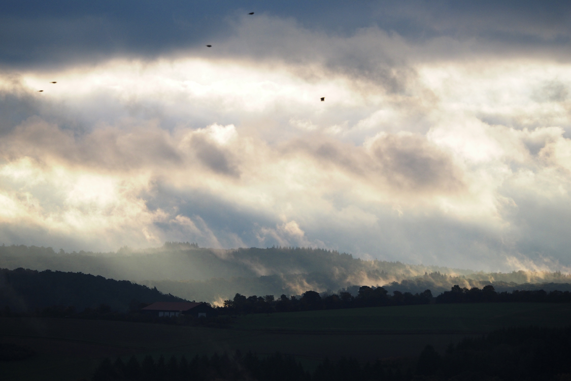 Morgens im Taunus