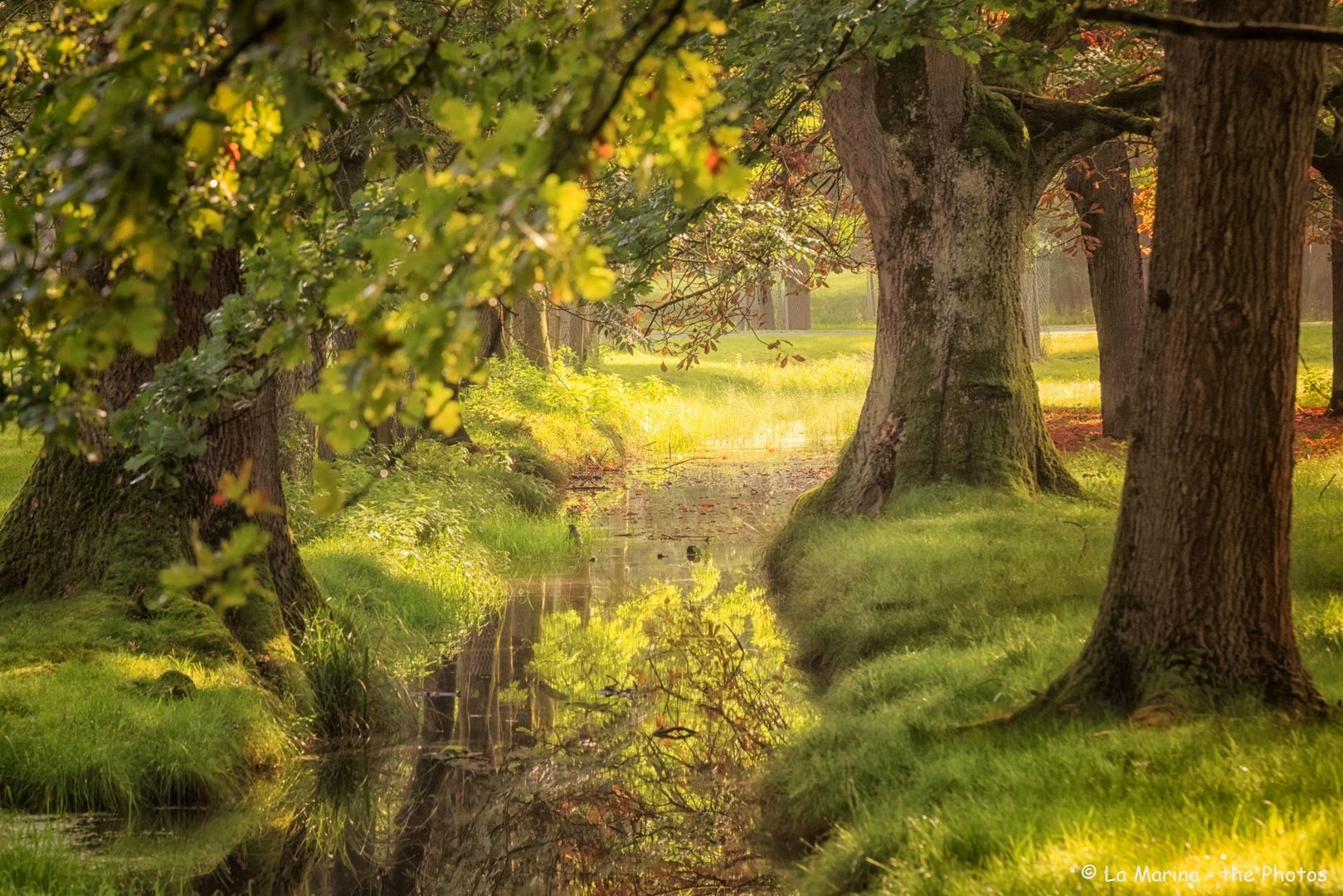 Morgens im Tiergarten