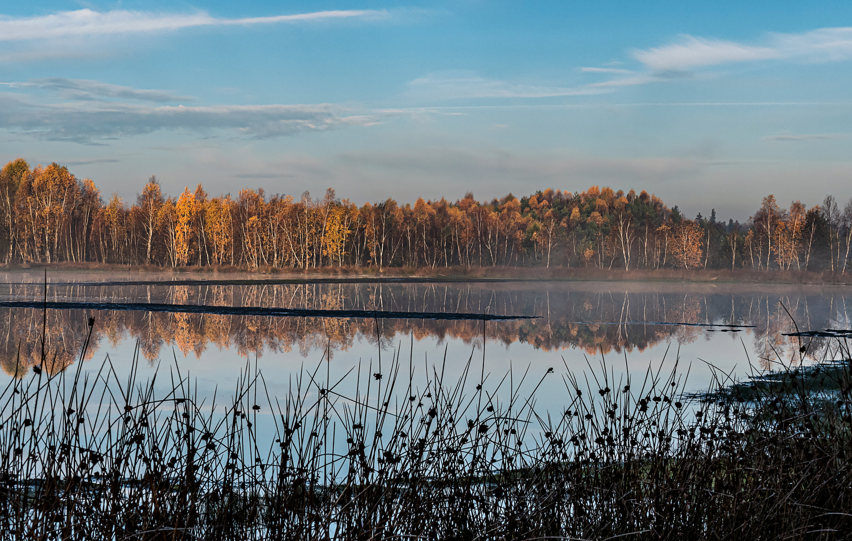 Morgens im Tister Bauernmoor