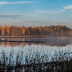 Morgens im Tister Bauernmoor