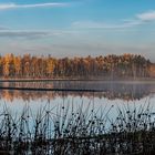 Morgens im Tister Bauernmoor